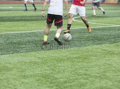 彩民速成指,马年双色球,期必杀攻略,广东体彩,广东体彩网,广东体彩网官网,体育彩票,体彩大乐透,竞彩足球,体彩公益